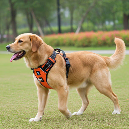 HANK 3M Reflective No Pull Dog Harness | Neon Orange