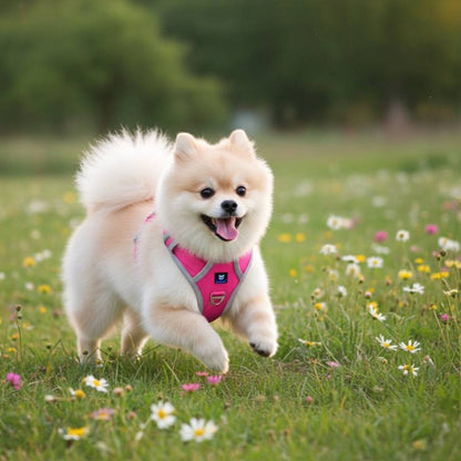 HANK No Pull 3M Reflective Dog Harness | Pink