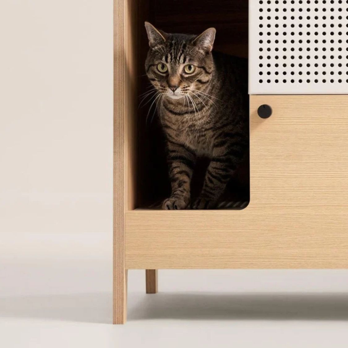 Cat Litter Box Furniture | Hidden Litter Box Cabinet for Indoor Cats