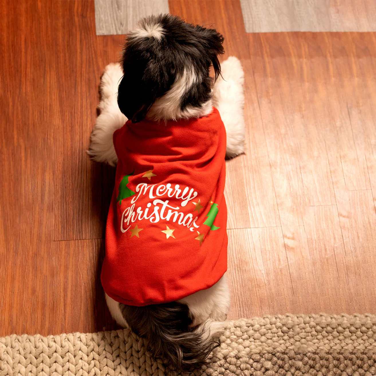 Jingle Joy T-shirt | Christmas Red Winter Pet T-shirt
