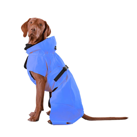 Blue Waterproof Dog Raincoat with Hood
