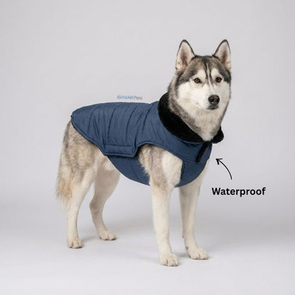 Dog Waterproof Winter Dog & Cat Coat | Puffer Style