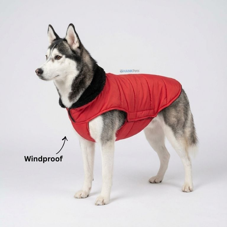 Warm Red Puffer Dog Coat | Waterproof & Lightweight