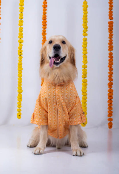 Orange Ethnic Dog Kurta Jacket