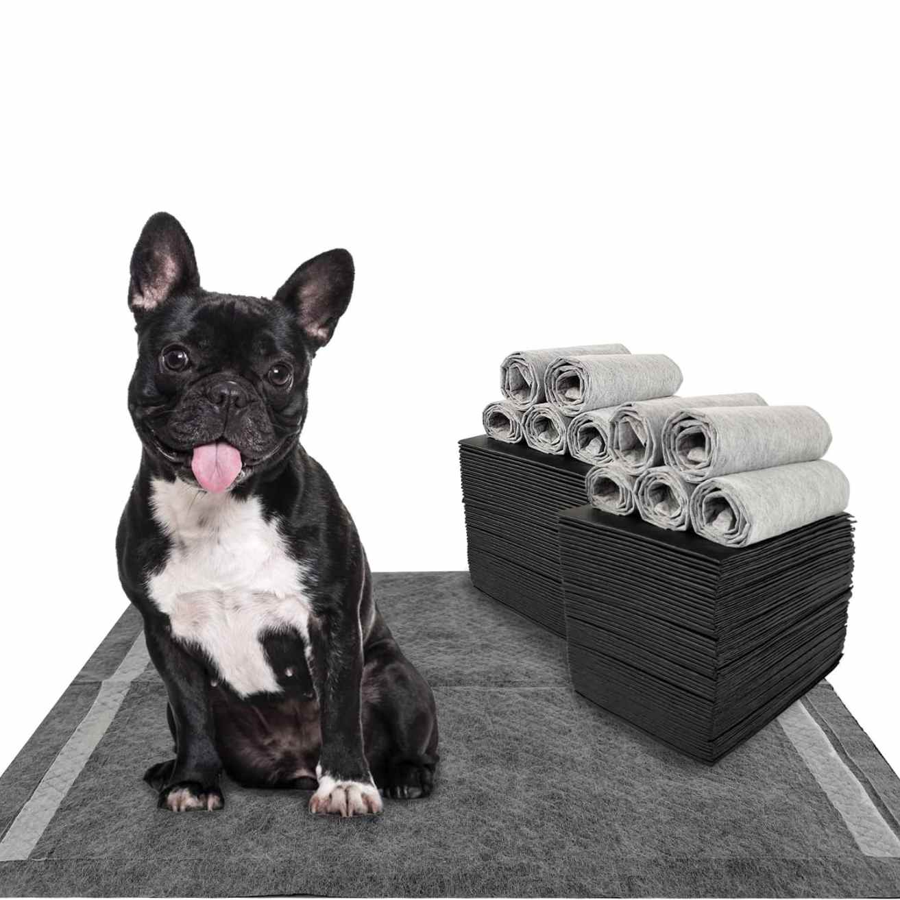 Charcoal Dog Training Pads 60x60 | Activated Carbon Puppy Pee Pads