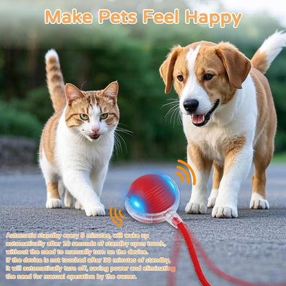 Rolling Fun Ball | Smart Interactive Pet Toy for Dogs & Cats