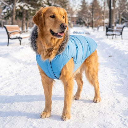 Sky Blue Waterproof & Lightweight Dog Puffer Jacket