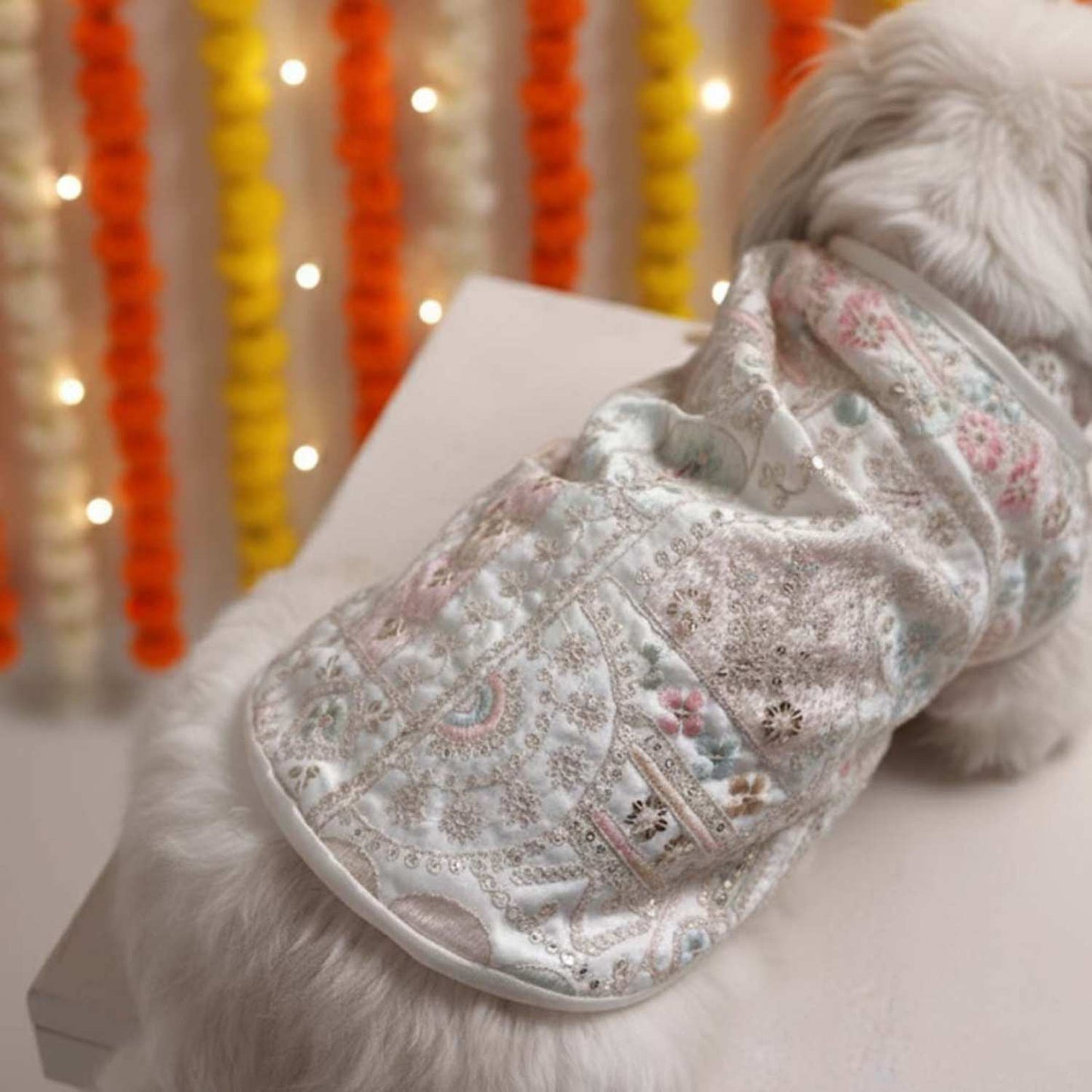 Festival Joy Designer Kurta for Dogs – Stylish Ethnic Outfit for Pets