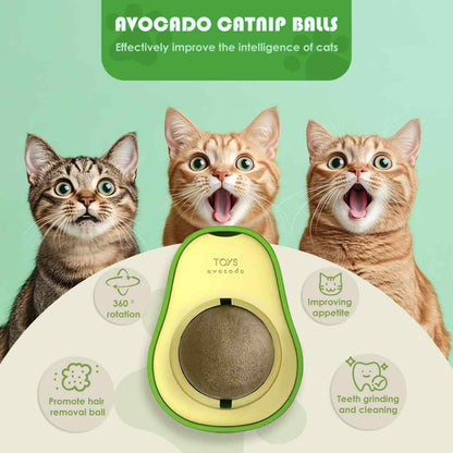Catnip Wall Ball Toy | Rotating Dental Treat Toy for Cats