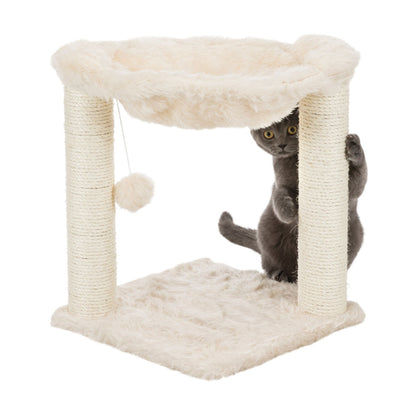 Kitten Playing in fluffy cat tree nest
