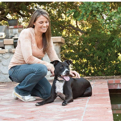 Big Dog Deluxe Anti Bark Control | Automatic Bark Training Collar for Dogs