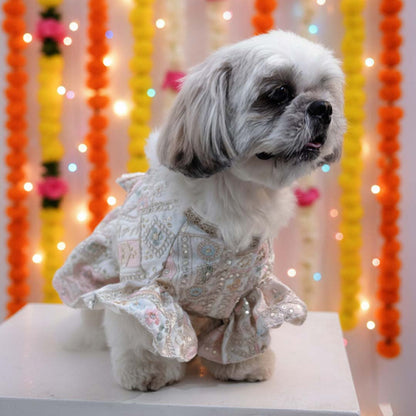 Joyful Step Designer Lehenga for Dogs