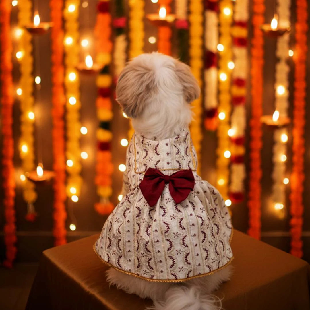 Ruby Starlight Lehenga for Dogs | Designer Festive Pet Wear