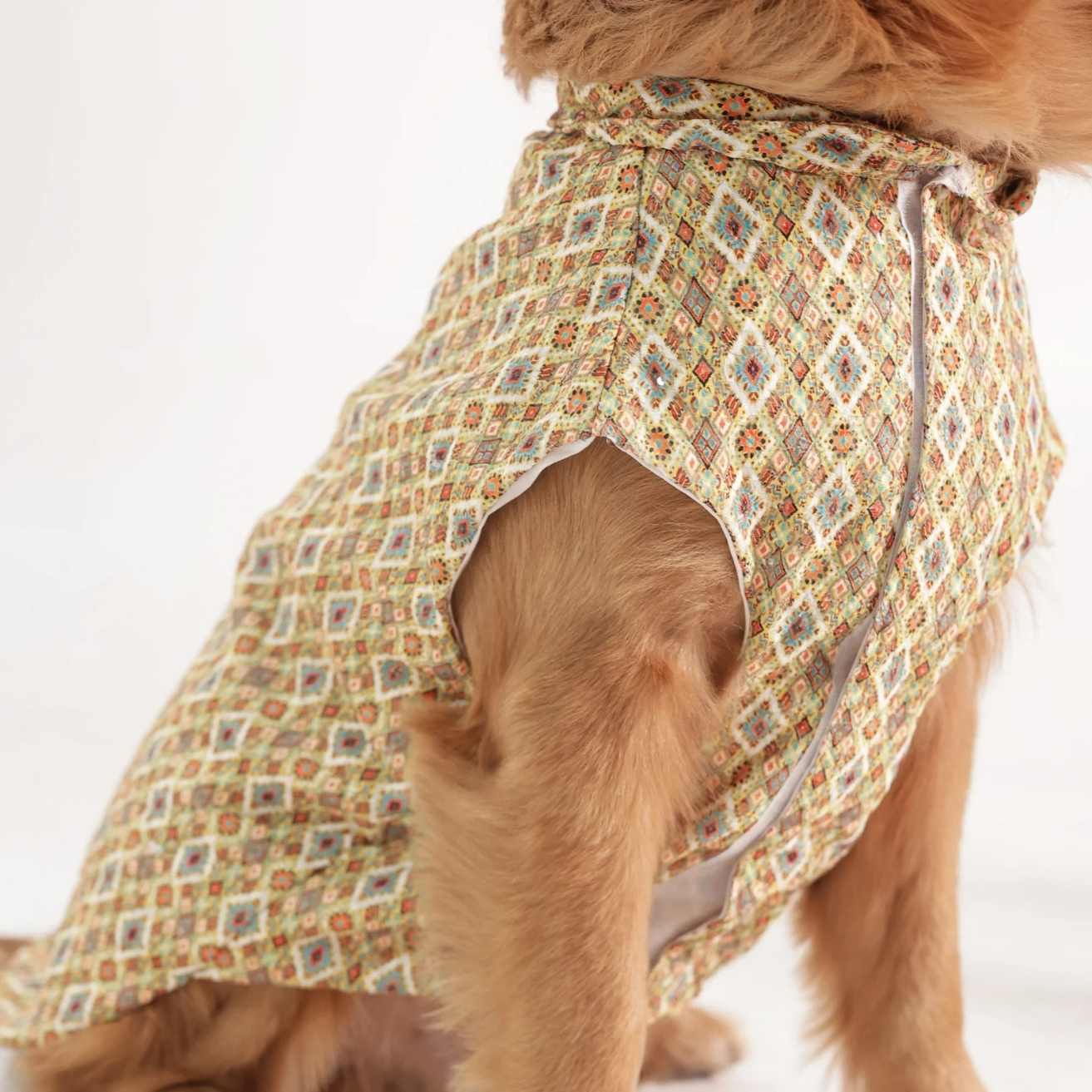 Heritage Print Ethnic Dog Kurta| Lightweight Festive & Party Wear