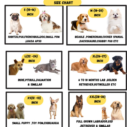 Red Waterproof Dog Raincoat with Hood