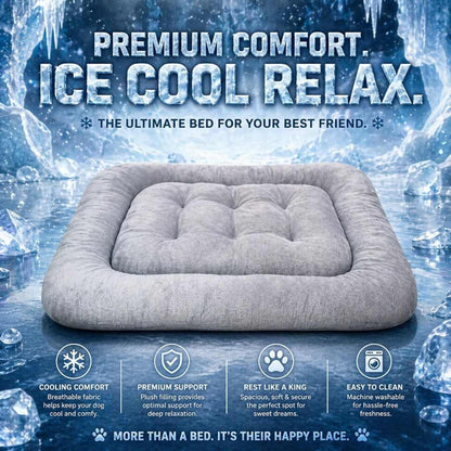 Silky Bolster Orthopedic Dog Bed | Soft & Luxury Pet Bed
