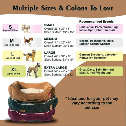 Lounger Dog Bed with Removable Cushion | Soft Washable Pet Sofa Bed