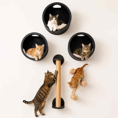Cat Wall Mount Set | 3 Beds Jute Steps & Scratcher For Play