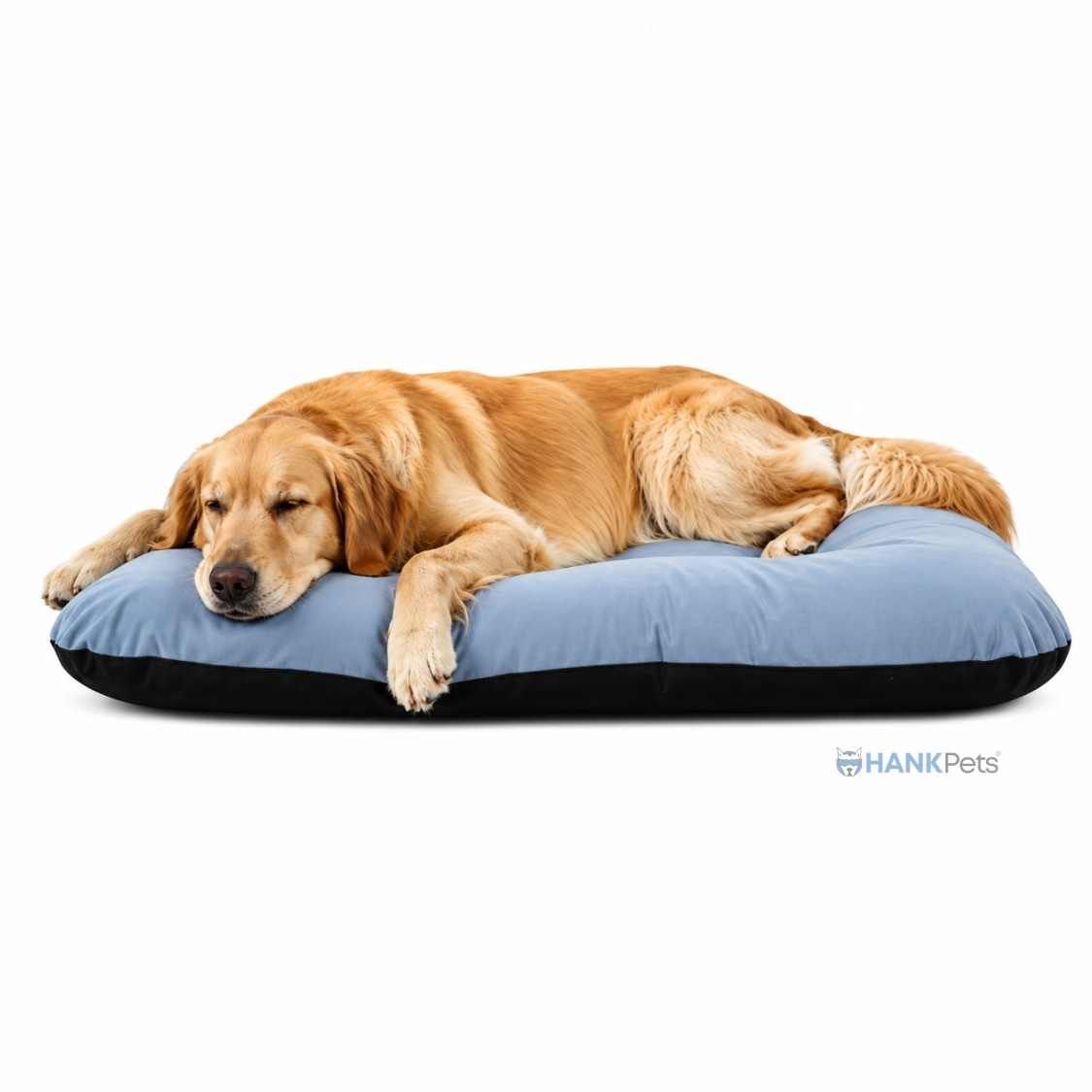 Reversible Pet Bed Washable Velvet Bed With Soft Mattress For Dogs & Cats (Blue)
