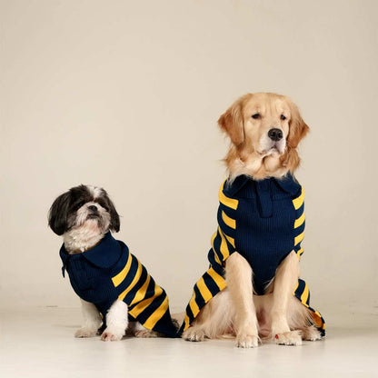 Honeybee Hug Sweater | Cozy Yellow Knit Pet Sweater
