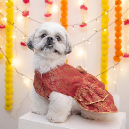 Maharani Pet Lehenga – Royal Designer Ethnic Wear for Dogs
