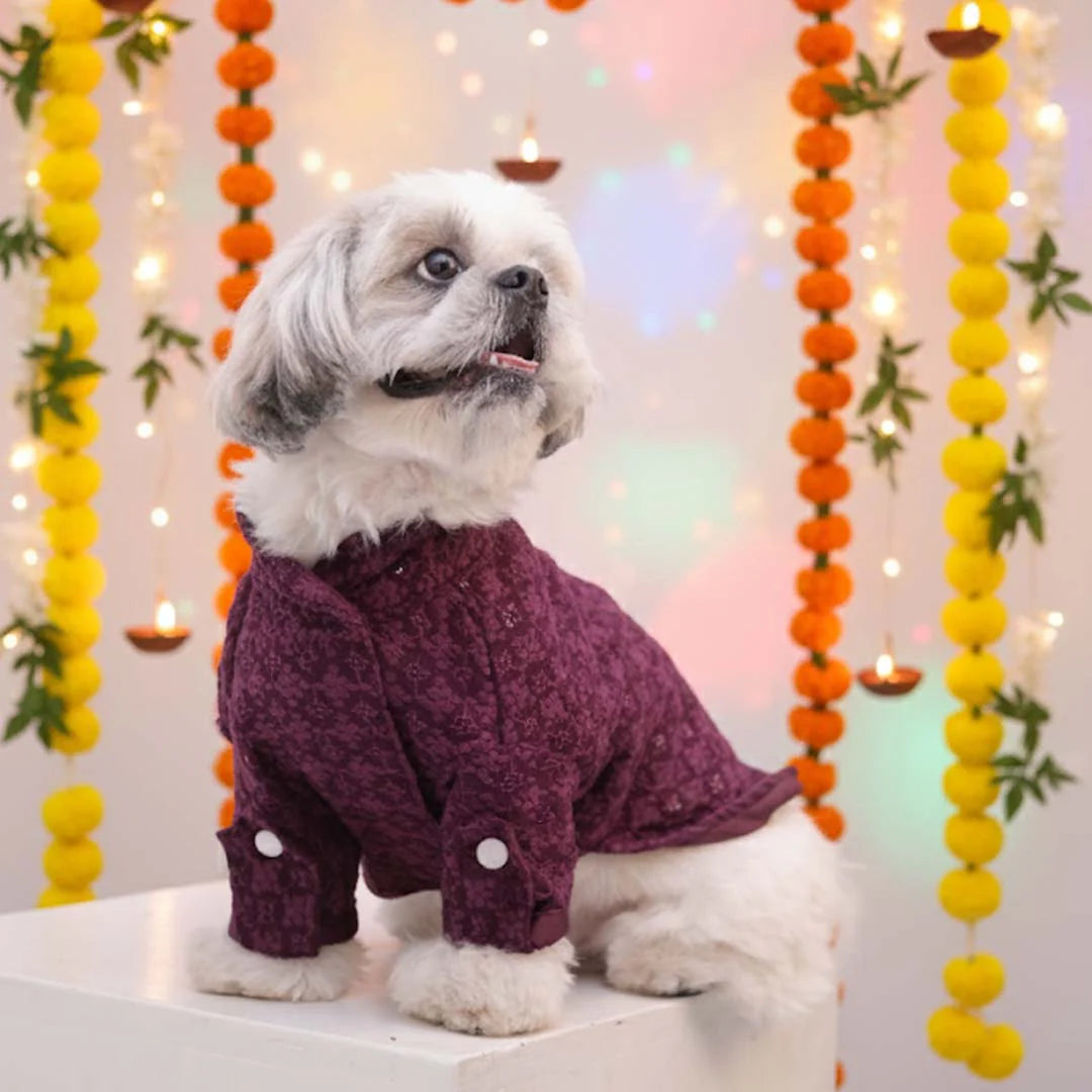 Maroon Majesty Chikankari Kurta for dogs