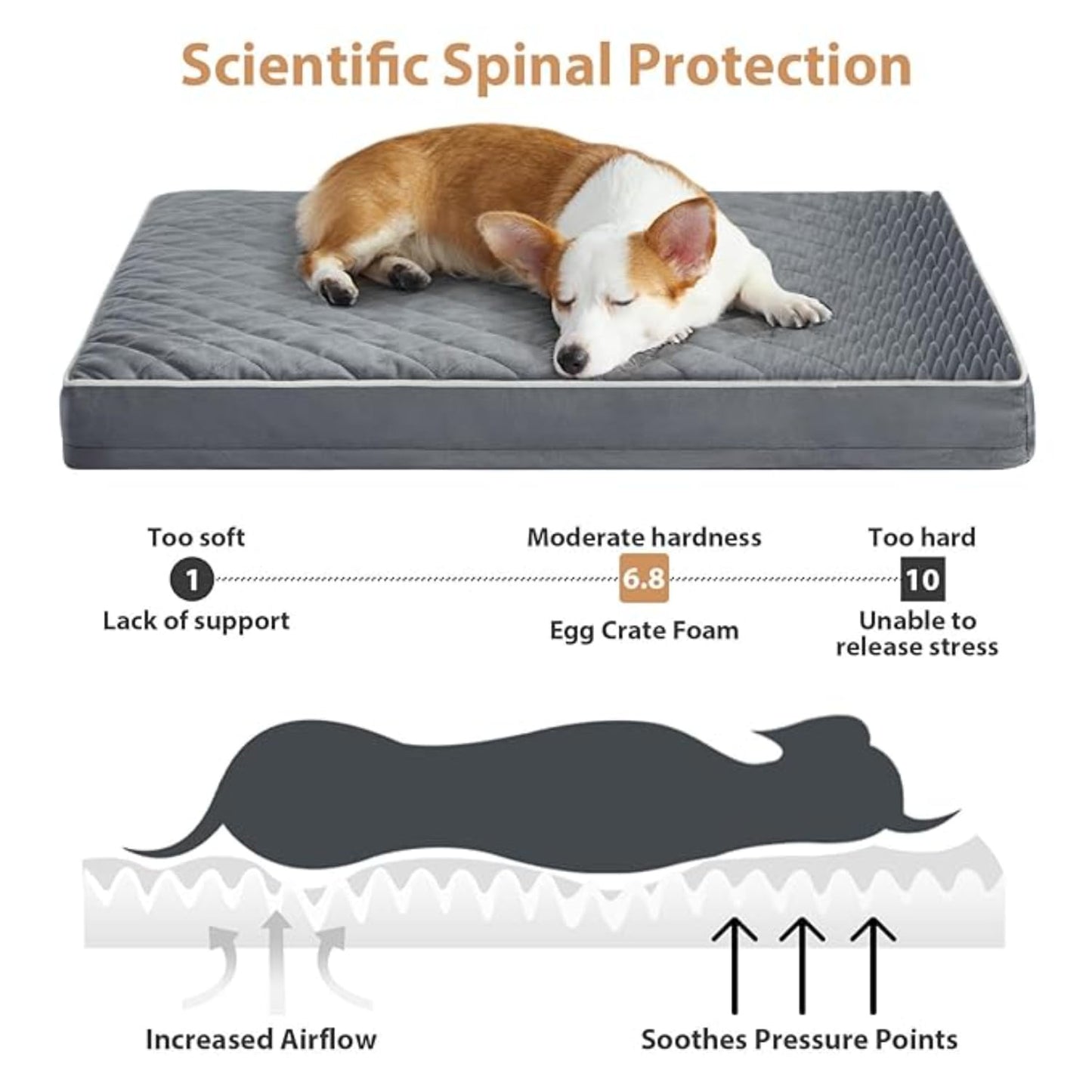 Orthopedic Memory Foam Dog Bed Waterproof, Washable Anti-Slip Large Pet Bed (Grey)