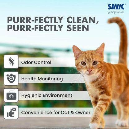 Iriz Cat Litter Tray with Rim – Mess-Free & Easy Clean (Grey)