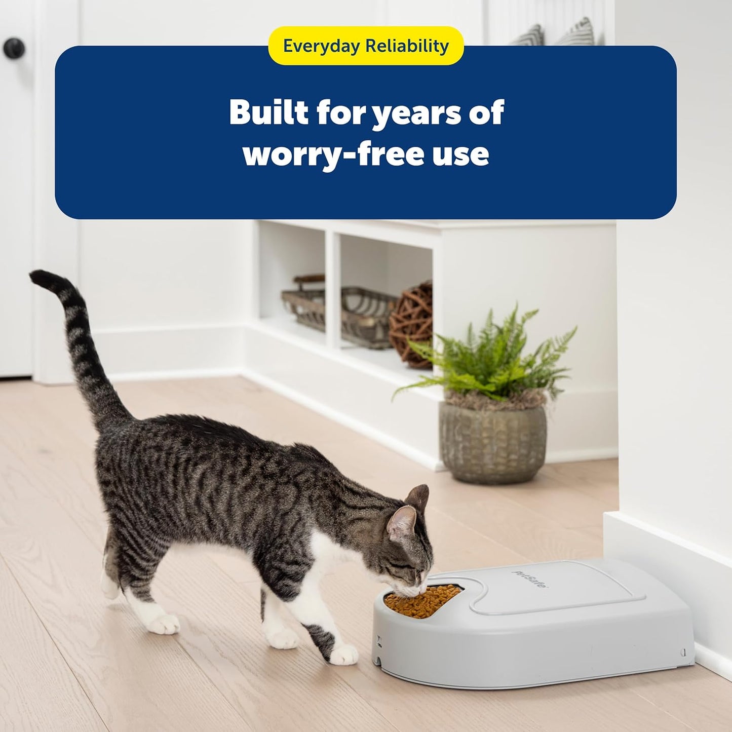 Automatic 5 Meal Feeder with Timer for Cats and Dogs