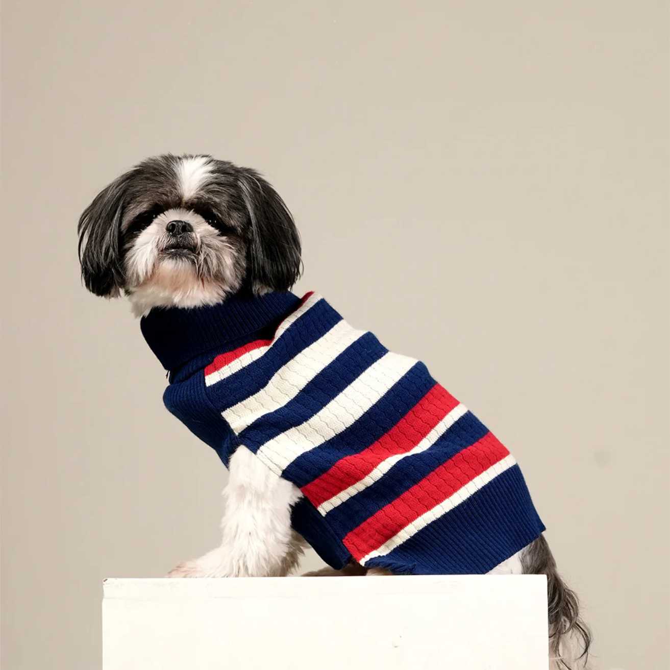CruiseLine Knit Sweater | Classic Navy Winter Pet Sweater