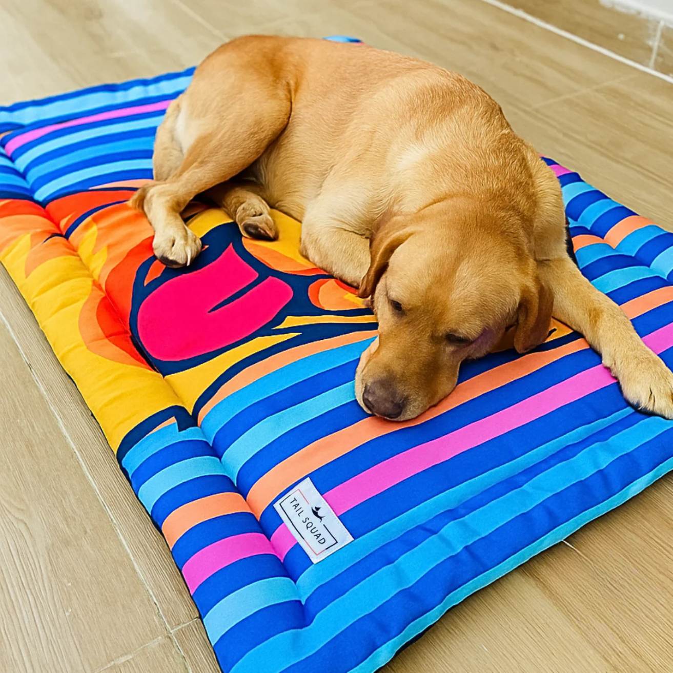 Washable Printed Mat for Dogs | Pop Art