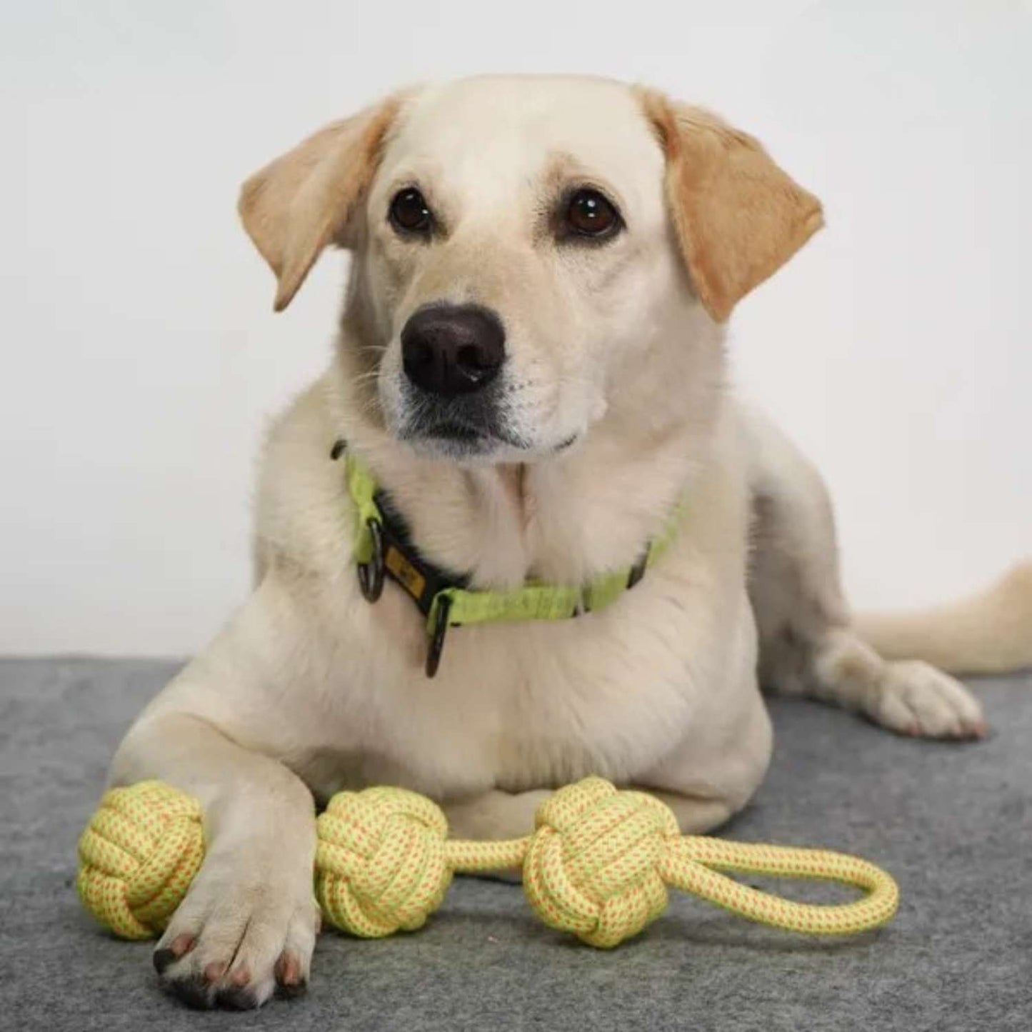 3 Ball Rope Tug Toy for Dogs & Cats - Interactive Chew & Training Toy