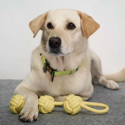 3 Ball Rope Tug Toy for Dogs & Cats - Interactive Chew & Training Toy