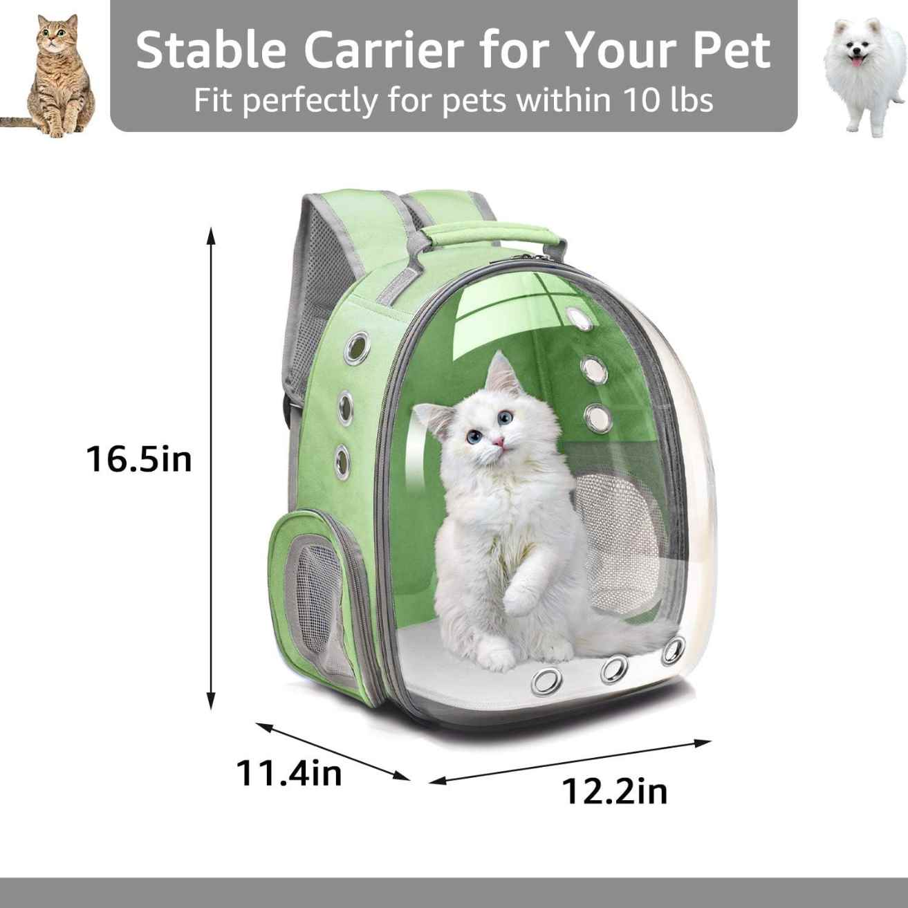 Green Bubble Backpack Pet Carrier | Travel Friendly