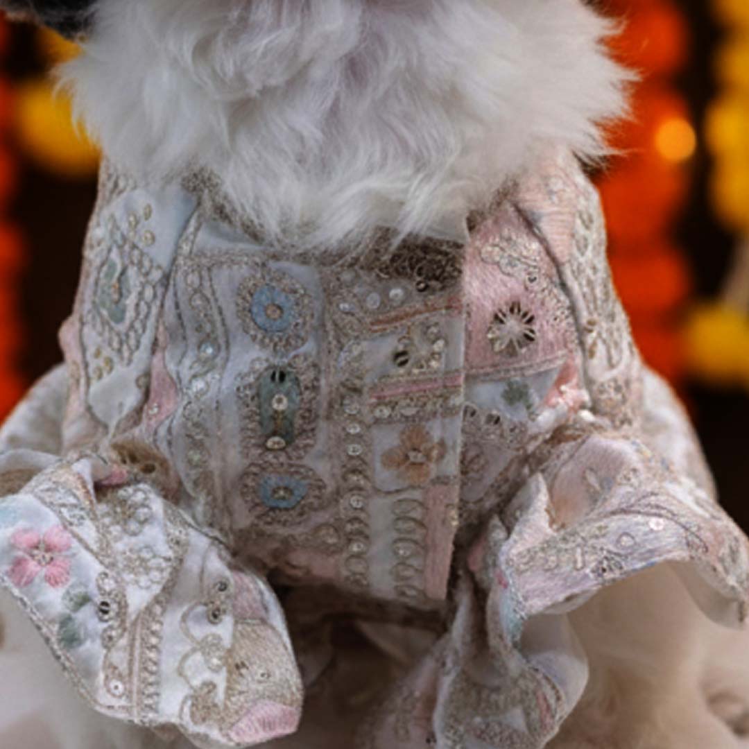 Joyful Step Designer Lehenga for Dogs
