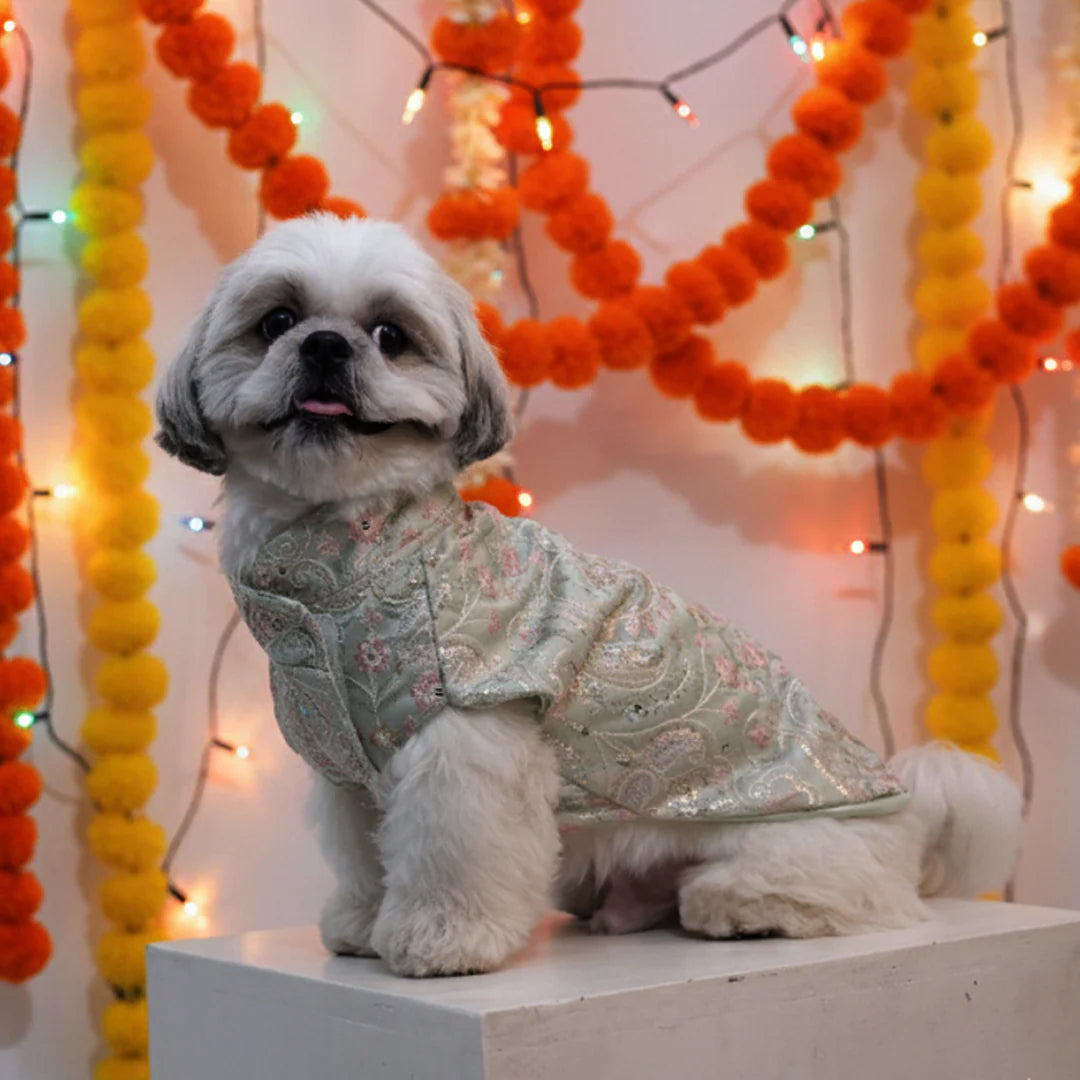 Mint Dream Designer Kurta for Dogs| Dog Ethnic & Festive Wear