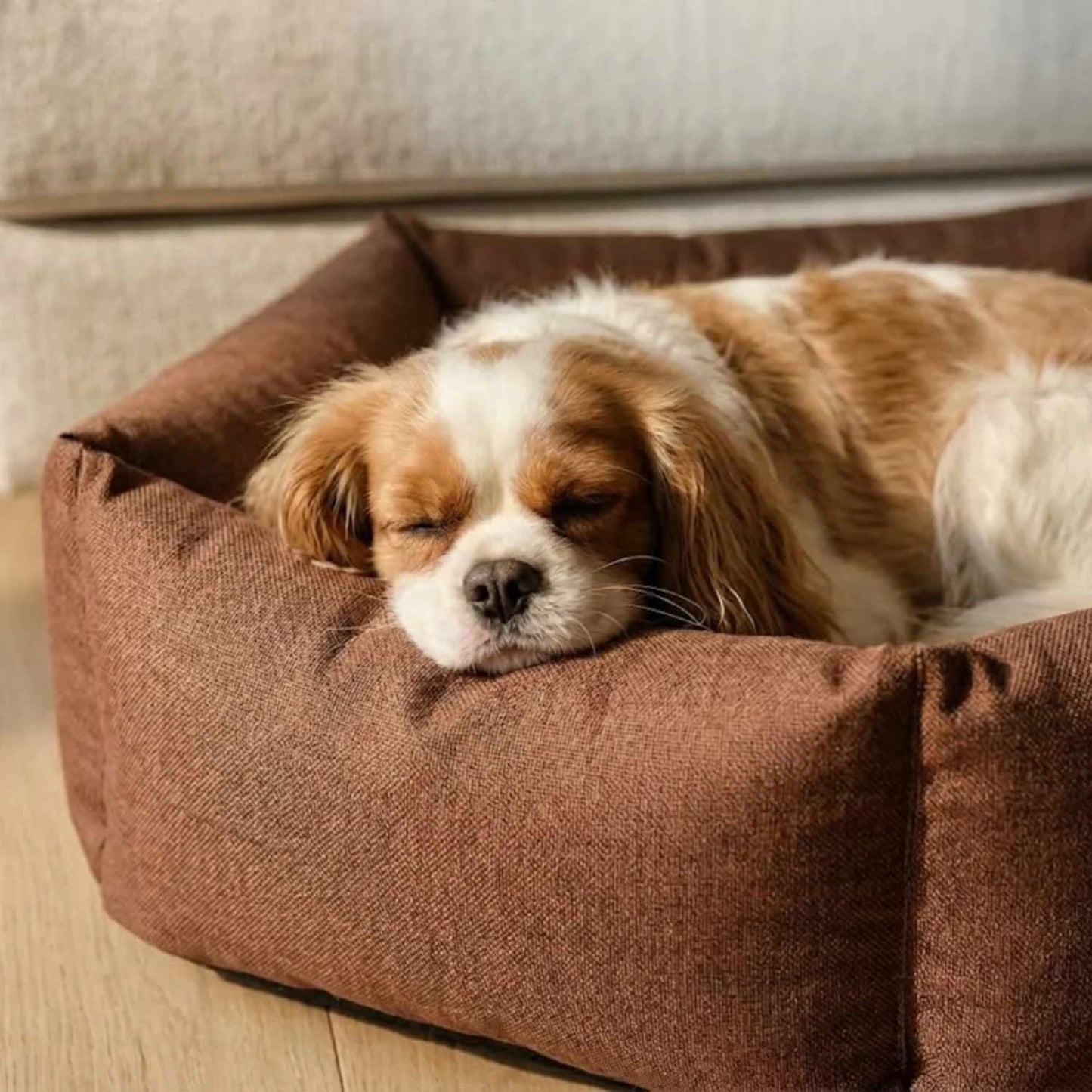 Washable Pawtagon Dog Bed | Soft, Comfortable & Easy Clean Pet Bed
