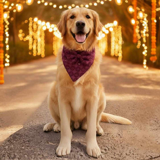 Crimson Charm Chikankari Dog Bandana | Festive & Stylish Pet Wear