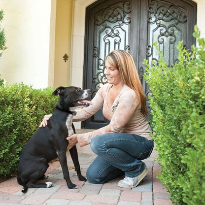 Big Dog Deluxe Anti Bark Control | Automatic Bark Training Collar for Dogs