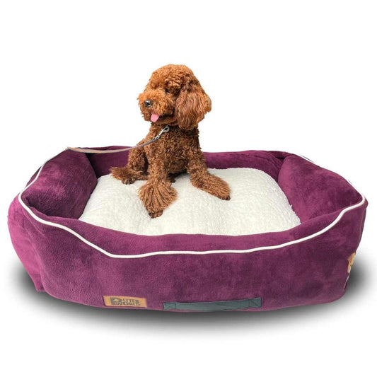 Cozy Pet Lounger Bed | Soft Fabric & Long Lasting Comfort