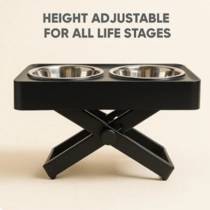 Dual Bowl Pet Feeder Stainless Steel Pet Food & Water Bowl Set