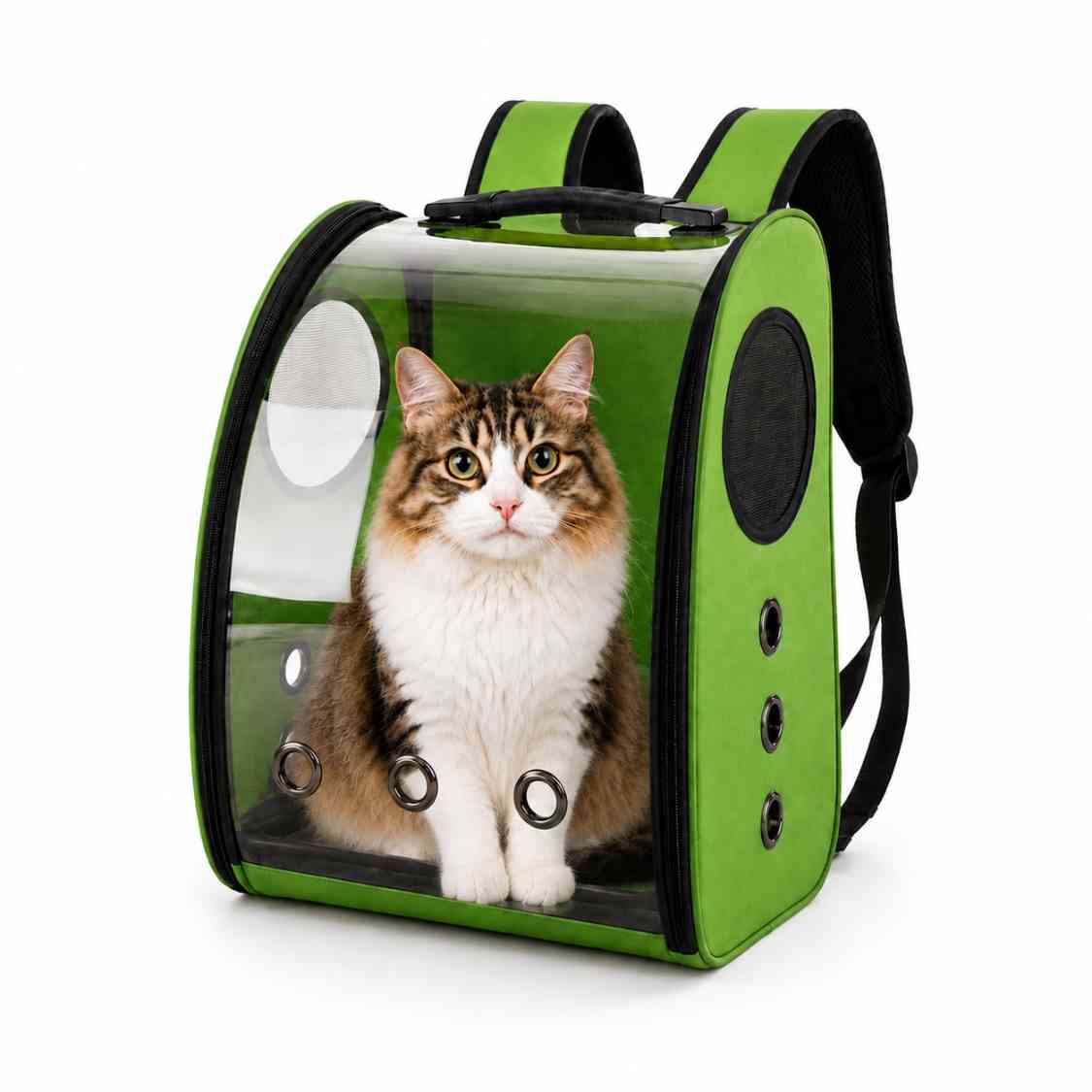Pet Carrier Backpack With Transparent Window For Cats & Small Dogs