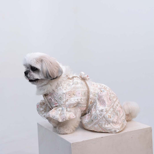 Joyful Step Designer Lehenga for Dogs