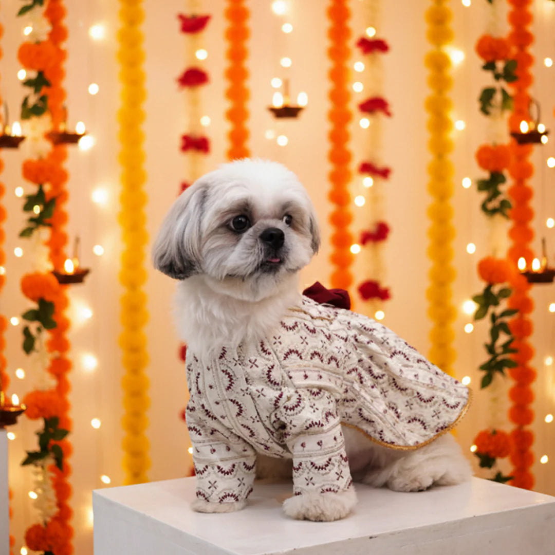 Ruby Starlight Lehenga for Dogs | Designer Festive Pet Wear