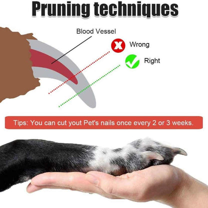 Pet Nail Cutter & Pet Nail Clipper | Safe Stainless Steel Grooming Tool