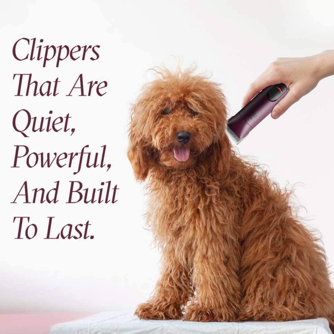 Andis AGC Super 2 Brushless Clipper | Professional Dog Grooming Clipper