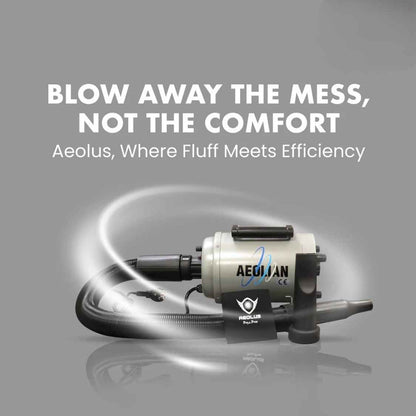 Professional Dog Dryer Blaster | Single Motor Pet Grooming Machine