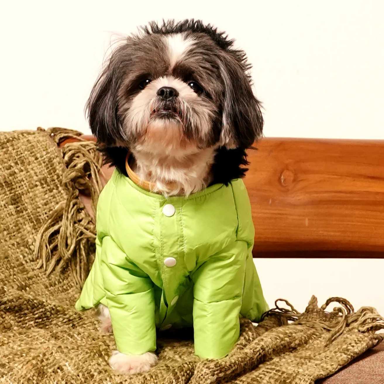Neon Nibble Pet Hoodie | Stylish & Warm Pet Hoodie