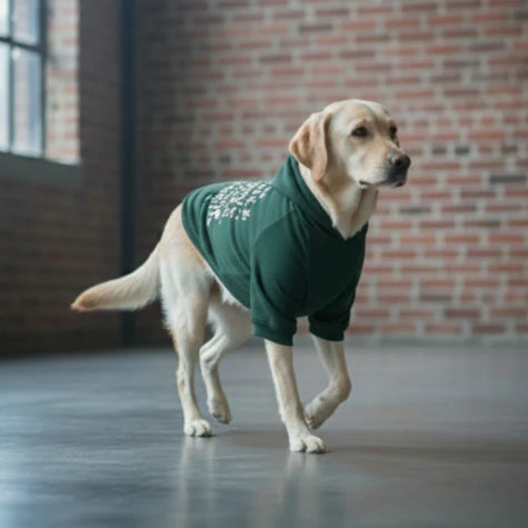 Olive Snug Hoodie | Cozy Olive Green Winter Pet Hoodie