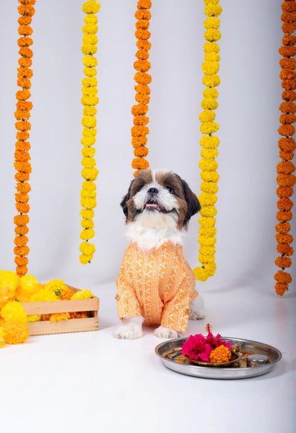 Orange Ethnic Dog Kurta Jacket